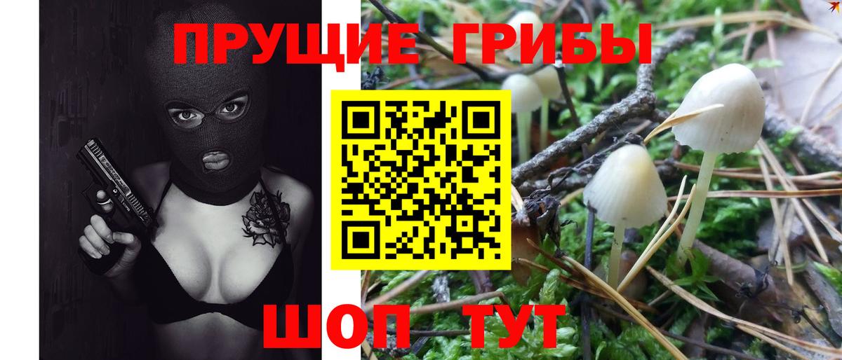 Псилоцибиновые грибы MAGIC MUSHROOMS Калуга