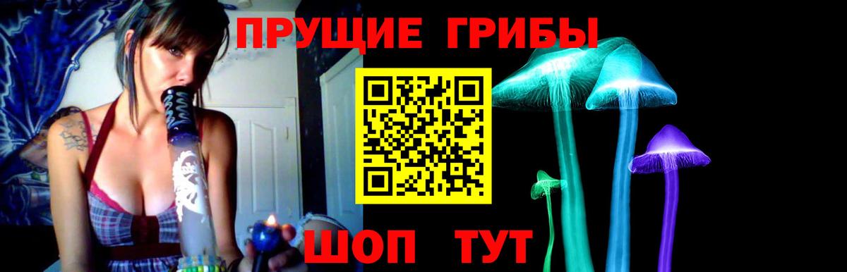 Калуга  Псилоцибиновые грибы Psilocybine cubensis  Вход с VPN 